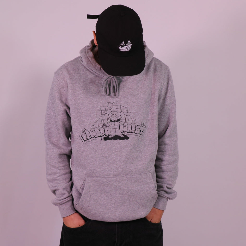 AP x Forest - Hoodie "Bricks"