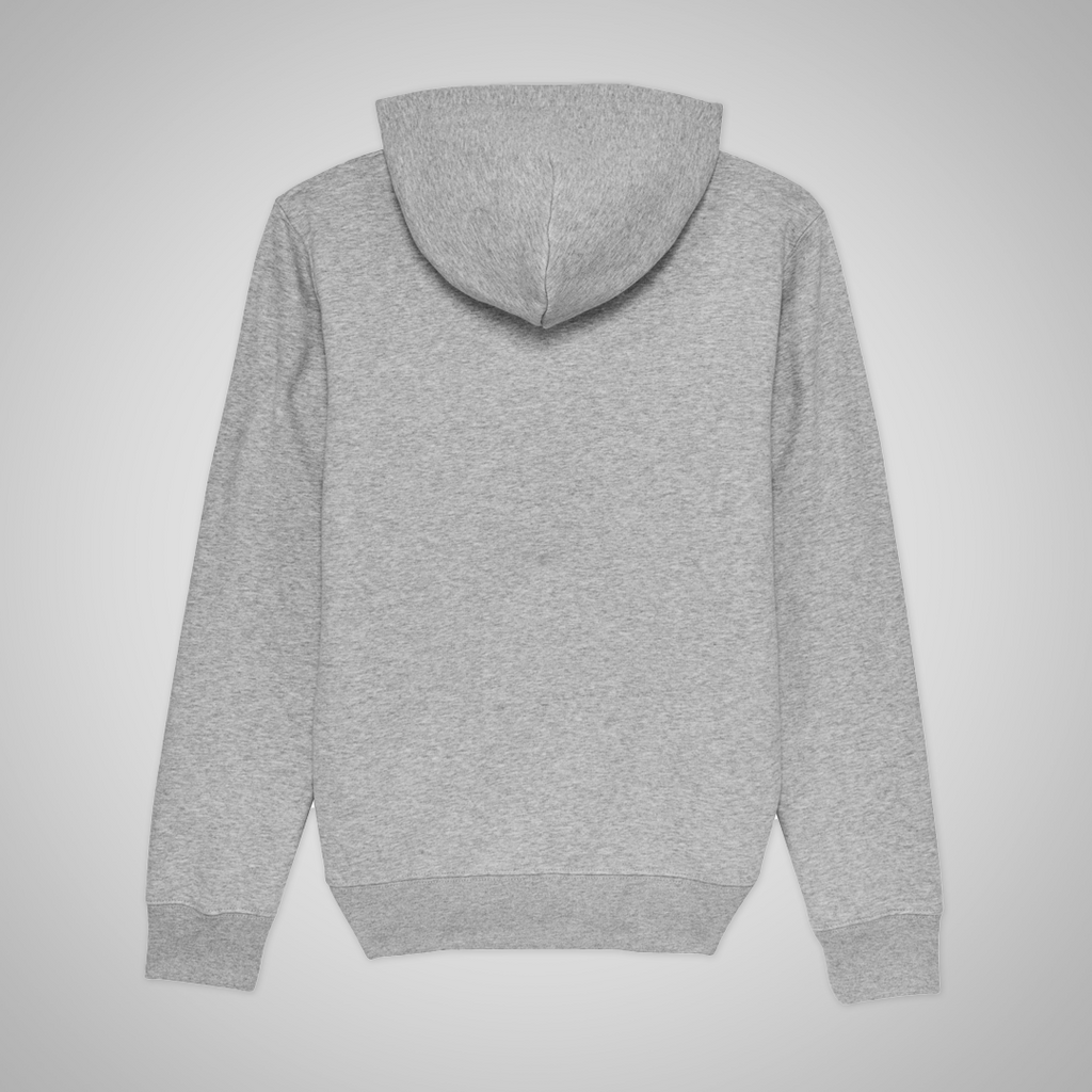Hoodie "Classic AP"