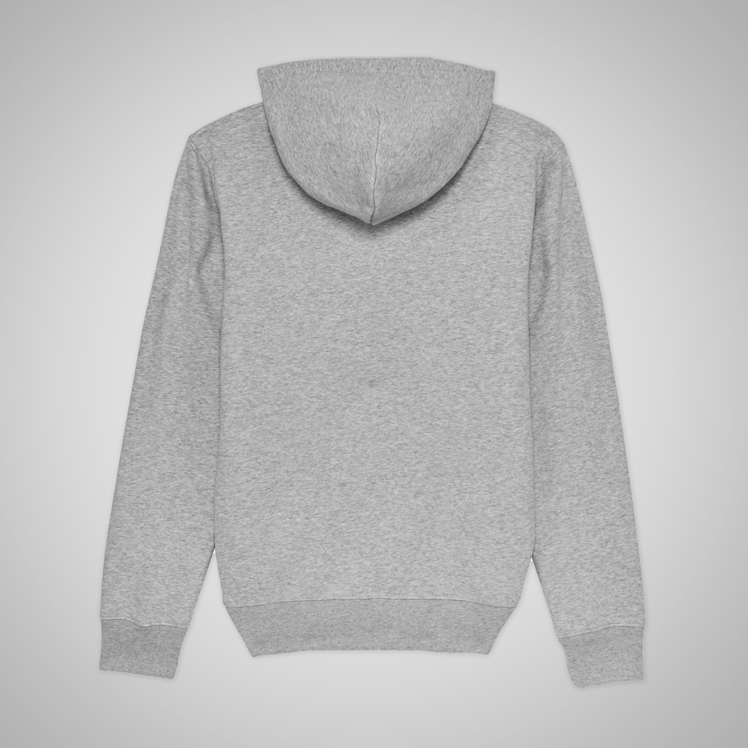 Hoodie "Classic AP"