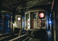 Maizniek - New York 01