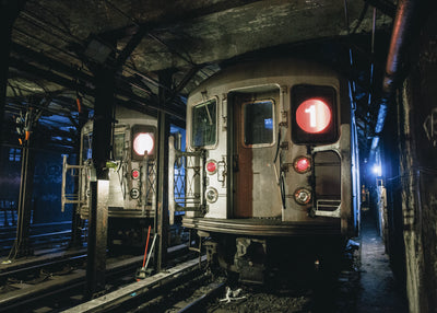 Maizniek - New York 01