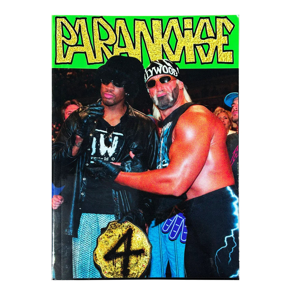 Paranoise 4