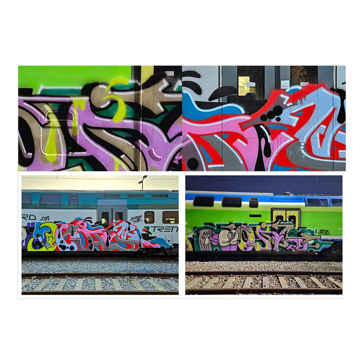 Paranoise 4
