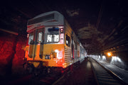 Maizniek - Sydney 02